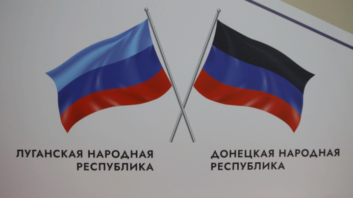 Как это понимать?: На концерте Мэйби Бэйби отобрали флаг ЛНР