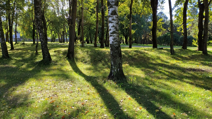 На Кубани возбудили дело о мошенничестве при реконструкции парка