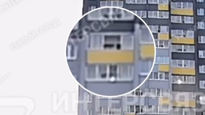 Умирала на глазах у детей: в Челябинске с 9 этажа скинули собаку