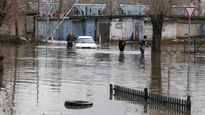 Дачные участки начало топить в Новосибирске из-за подъёма воды в Оби