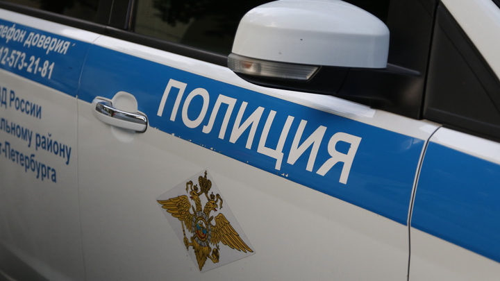 Воткнул нож в ногу и убежал: в Колпино рецидивист напал на сотрудника полиции