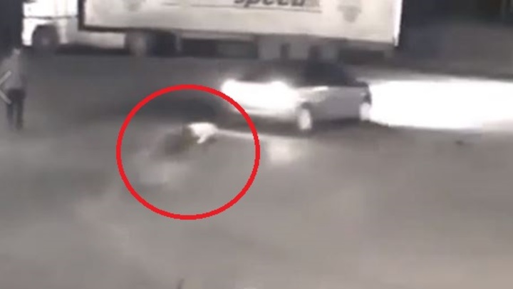 В сети появилось видео покушения на убийство зампрокурора курганским фермером