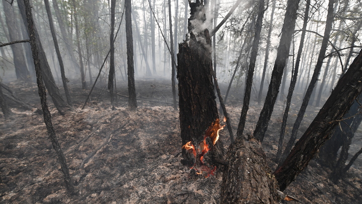 Путин предупредил о беде России, которую нельзя замалчивать