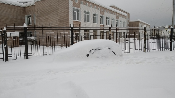 Жители Подмосковья начали зарабатывать на снеге