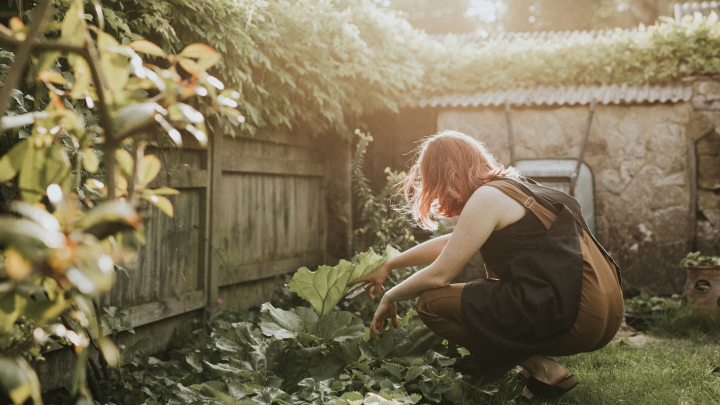 В Госдуме объяснили, имеют ли право дачники установить глухой забор в 2026 году