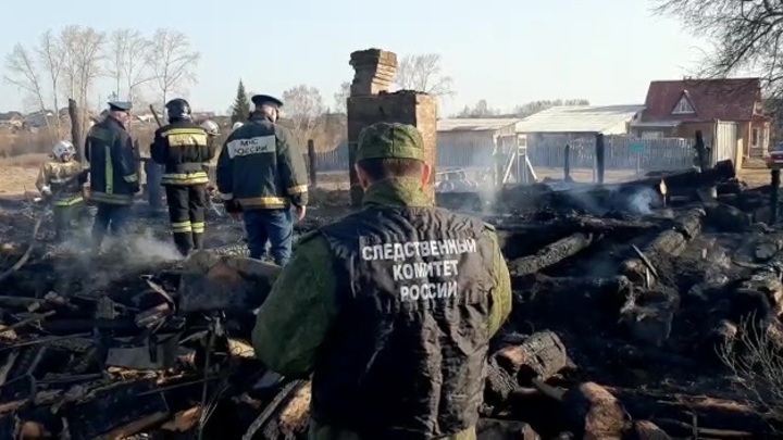 Многодетные семьи в Свердловской области массово проверят после трагедии в Бызово