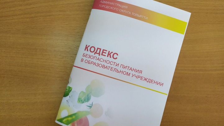 Администрация Тольятти не хочет заниматься безопасностью питания детей