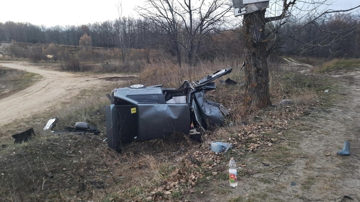 В Нижегородской области ВАЗ влетел в дерево, погиб человек