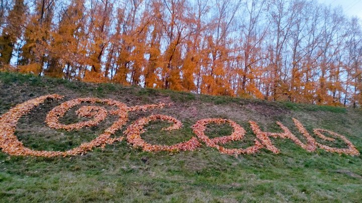 Витиеватая надпись из листьев восхитила жителей Новокузнецка