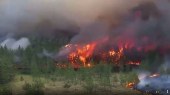 В Челябинской области мусор и трупы животных после пожара пытались свалить в оздоровительном лагере