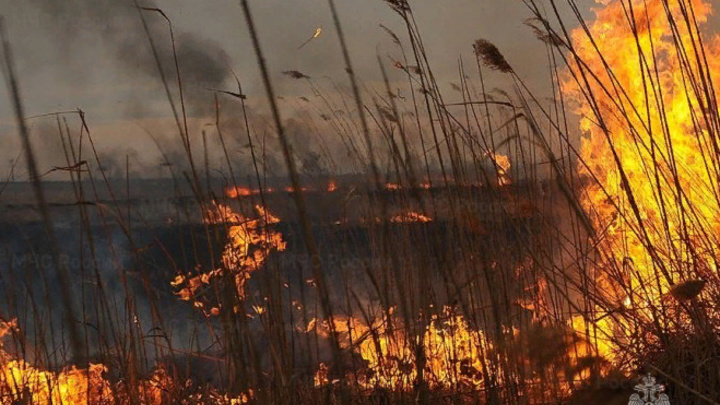 На Кубани превышена норма токсичных веществ в воздухе из-за сжигания рисовой соломы