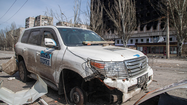 ОБСЕ скрывала кражу неонацистами машин организации в Донбассе: Россия привела факты