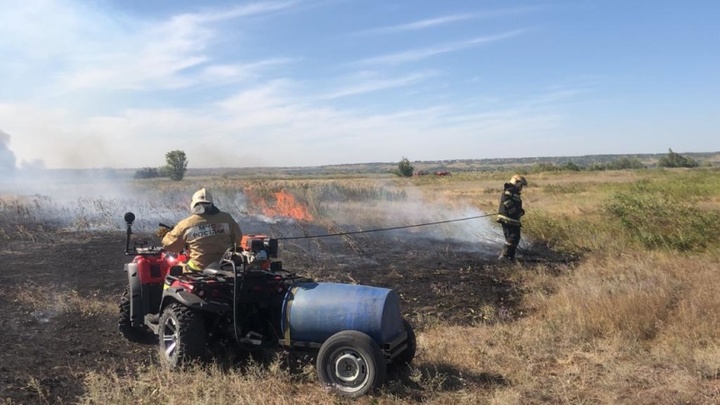 Сгорели 1600 га леса и десятки строений: В Ростовской области подсчитали ущерб от масштабного пожара