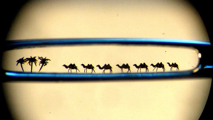 Международный день караванщика 2024: поздравления в стихах и прозе