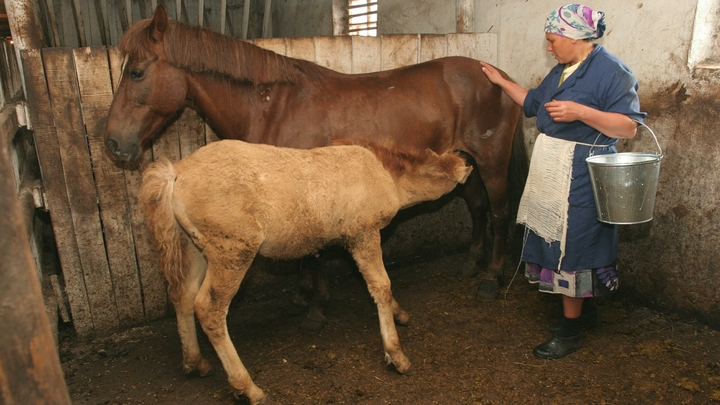 Поздравления на День сельских женщин: стихи и проза к празднику