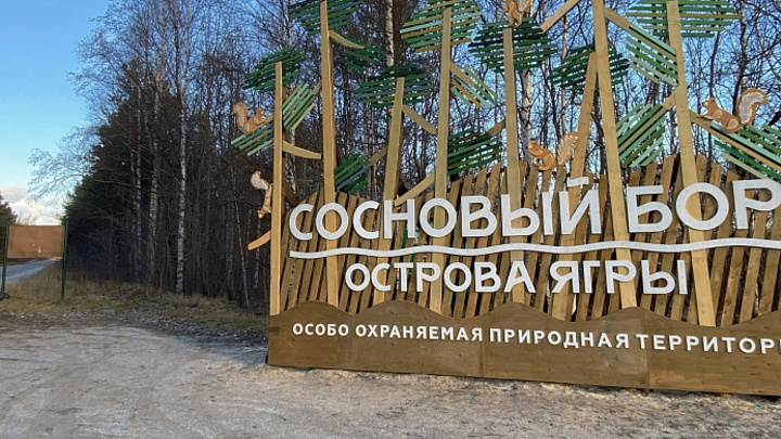 Туристические маршруты Поморья отметили дипломами премии Russian Traveler Awards – 2024