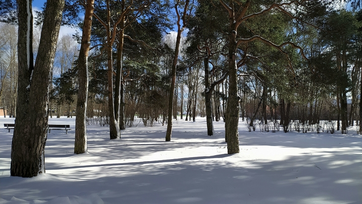 Погода в Санкт-Петербурге на 11 марта 2023: крепкий мороз перед потеплением