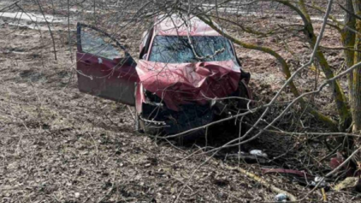 В Ковровском районе при столкновении легковушки с деревом погибли два человека