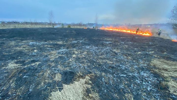 Во Владимирской области начались первые травяные пожары