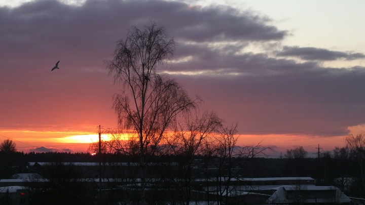 Традиции на Великий вторник 11 апреля 2023: второй день Страстной недели