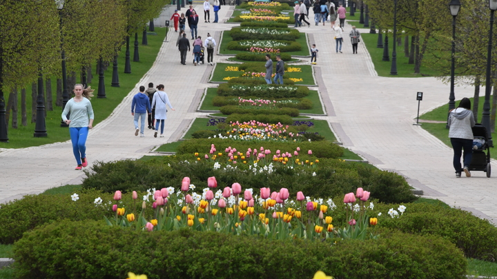 Исторические сады в Царицыно: 19 августа откроется ландшафтный фестиваль