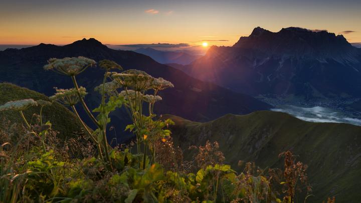 Просторы России постепенно заполоняет чужеродная сила: NYT выследила истинного врага русских