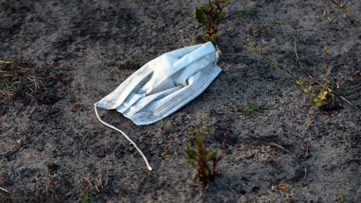 Настало время: Россия может покинуть ВОЗ вслед за США. Толстой обратил внимание на очевидную проблему