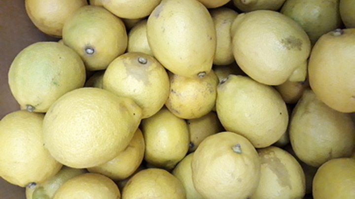 Турцию поймали на поставке в Россию опасных лимонов