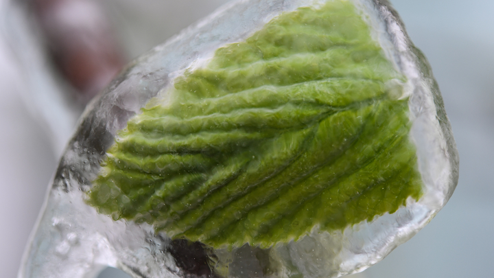 Замерзающая Россия могла стать хитом на Украине, если бы не глупый провал готовивших провокацию