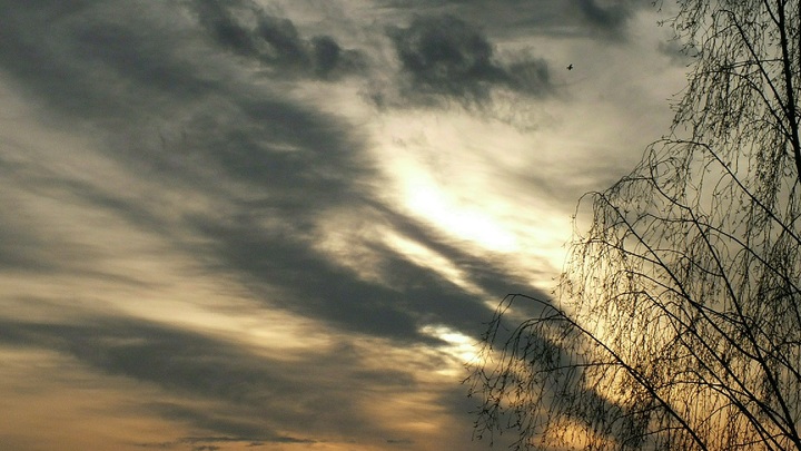 Столбы в небе вызвали негодование: Россия ослепляет спутники НАТО