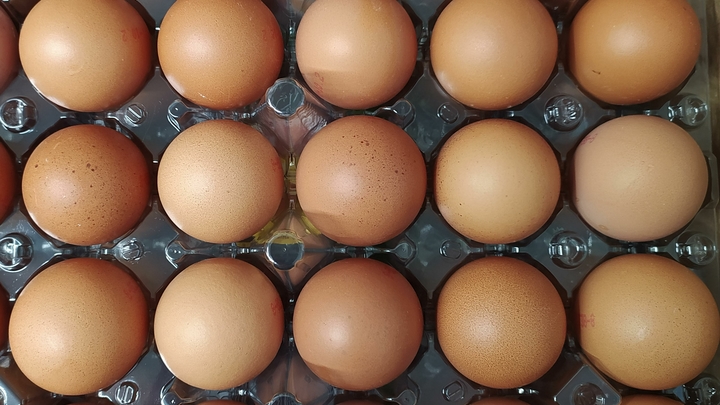 К Пасхе готовы: Ленобласть обеспечена яйцами на 590%