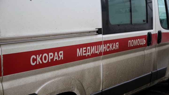 Под Петербургом маршрутка с пассажирами лоб в лоб столкнулась с легковушкой, есть пострадавшие
