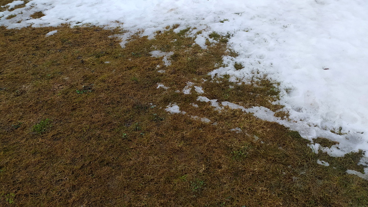 Система рушится. Политолог рассказал, почему зима-2024 может стать для Украины последней