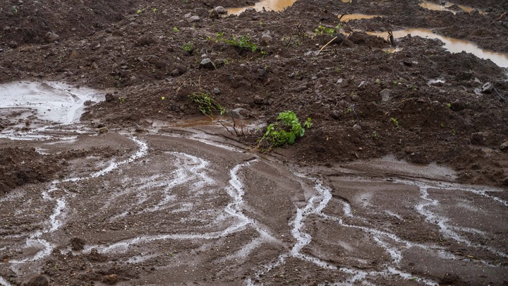 Курорт Шови в Грузии полностью уничтожен