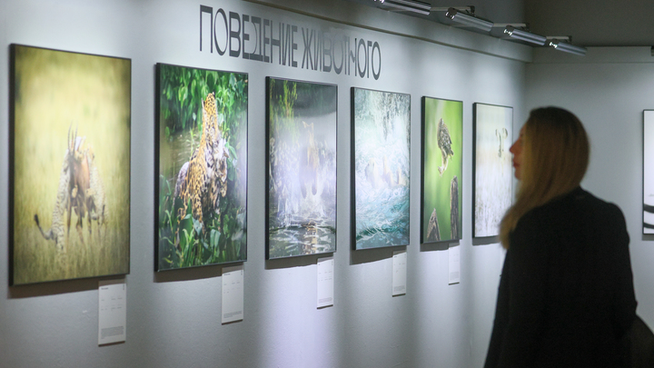 Фотограф из Петербурга получил 15 тысяч долларов за победу в конкурсе в Дубае