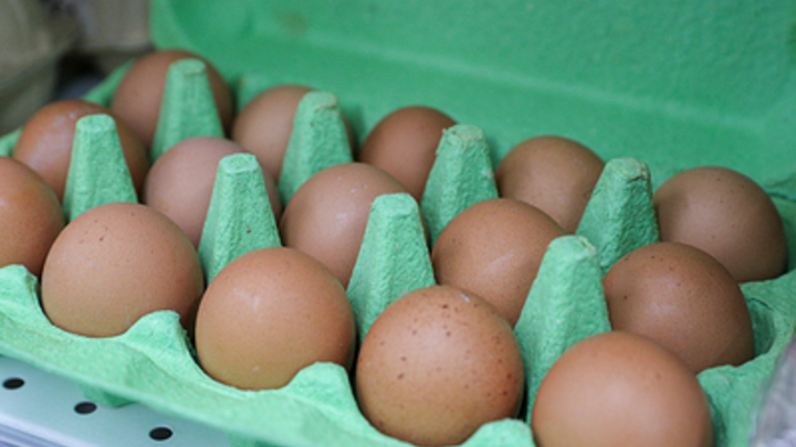 Производство яиц на Кубани возросло на 1,3 млрд штук