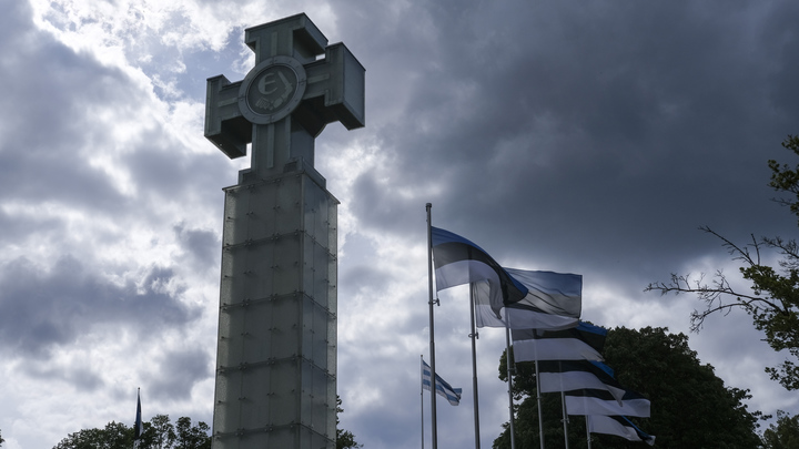 Эстонцы установили мемориал пособникам Гитлера: Специально хранили до лучших времён