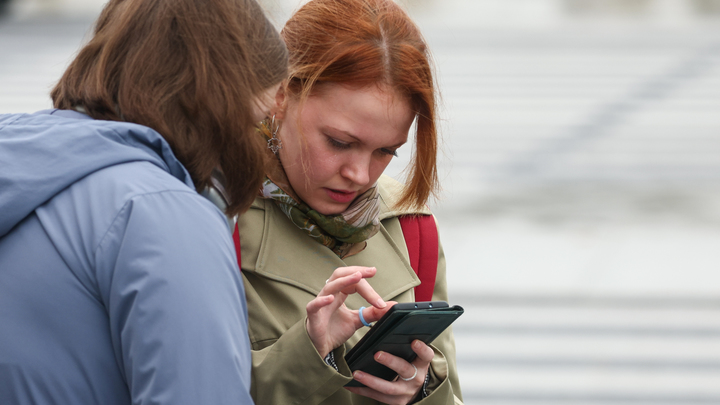 В мэрии Владимира опровергли запрет родительских чатов в Viber и Telegram