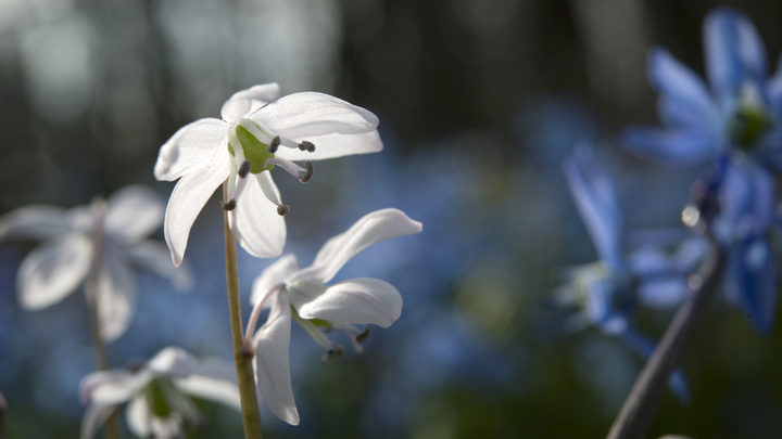 Какой сегодня праздник – на календаре 19 апреля 2023