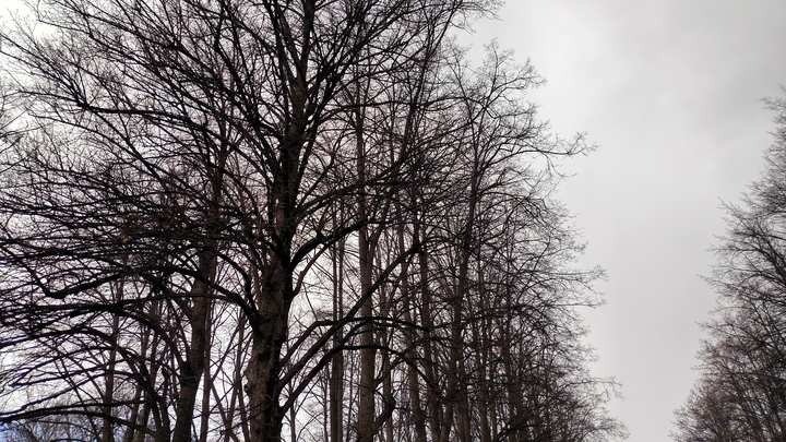 Какой праздник 8 мая 2023: традиции и приметы