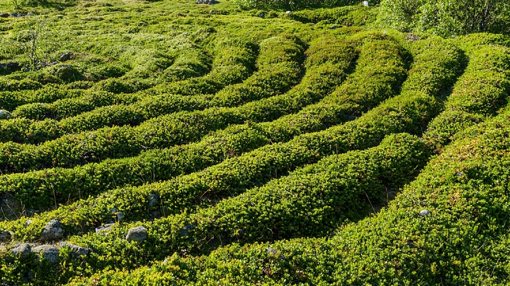 Какой сегодня праздник – на календаре 6 мая 2023