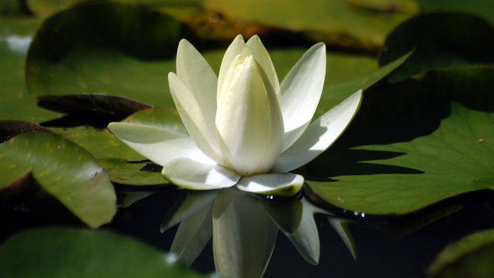 Какой праздник 25 мая 2023: традиции и приметы