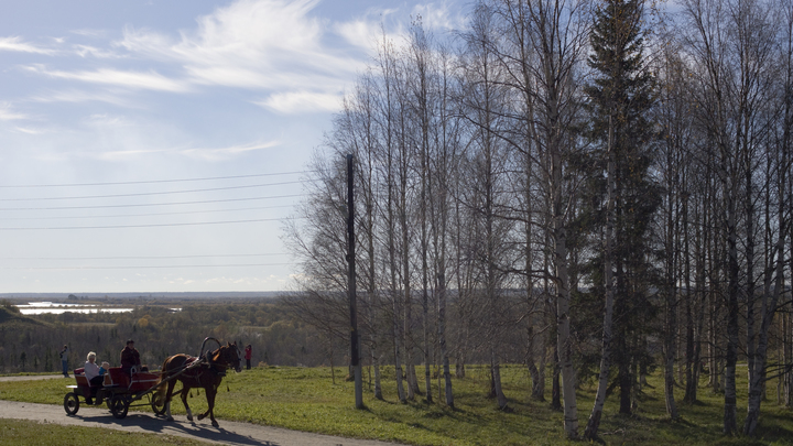 Троицкие гуляния в Малых Корелах 4 июня 2023: программа мероприятий