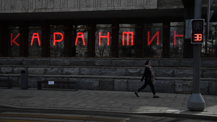 Зоотовары и сжиженный газ: Собянин сделал исключения на время нерабочей недели