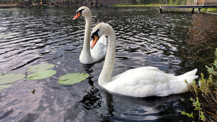 В Свердловской области спасатели запретили купание во всех водоёмах
