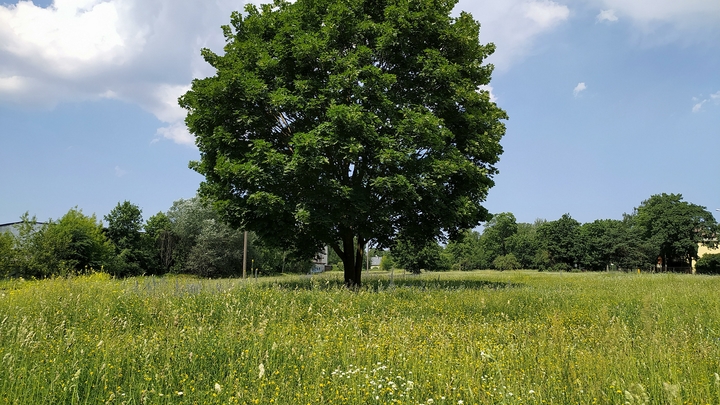 Какой праздник 31 мая 2023: традиции и приметы