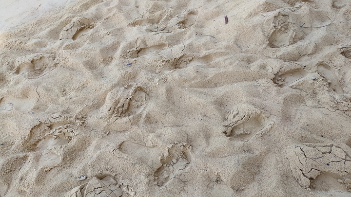 В Роспотребнадзоре рассказали, чем опасен пляжный песок для здоровья