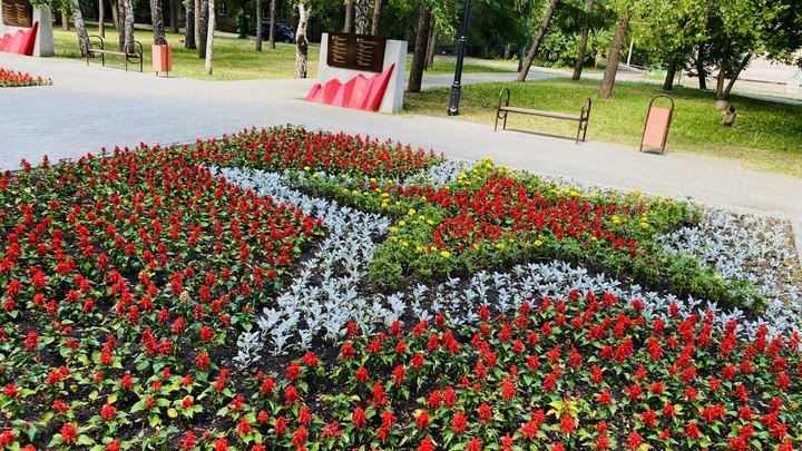 330 тысяч цветов: смотрим на обновлённые клумбы в центре Челябинска