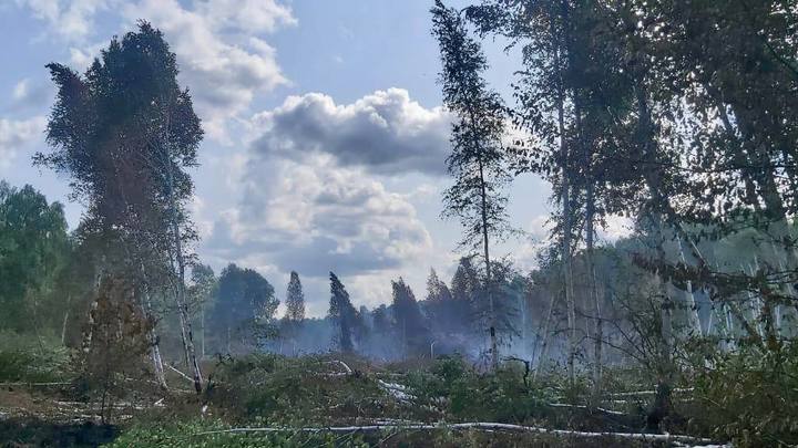 В Челябинской области уже две недели тушат торфяные болота