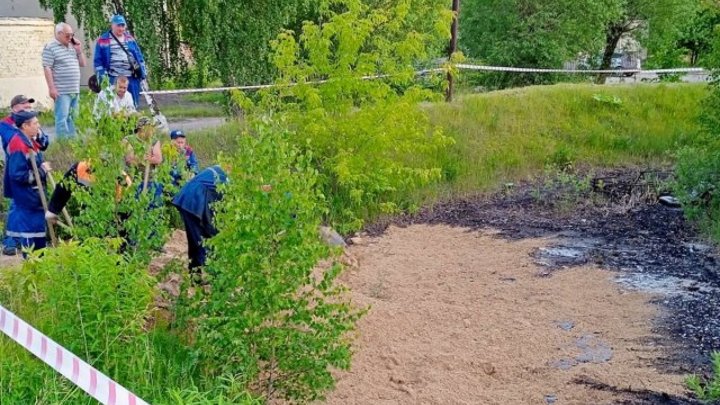 Прокуратура заинтересовалась озером мазута, из которого волонтёры вытащили обречённого на смерть пса